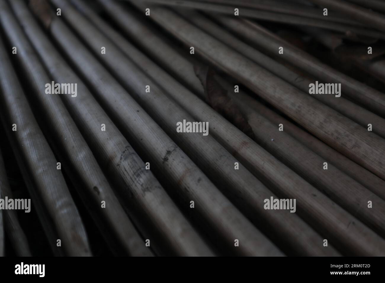 Trockene Kokosblätter. Trockene Kokosblattstruktur Stockfoto