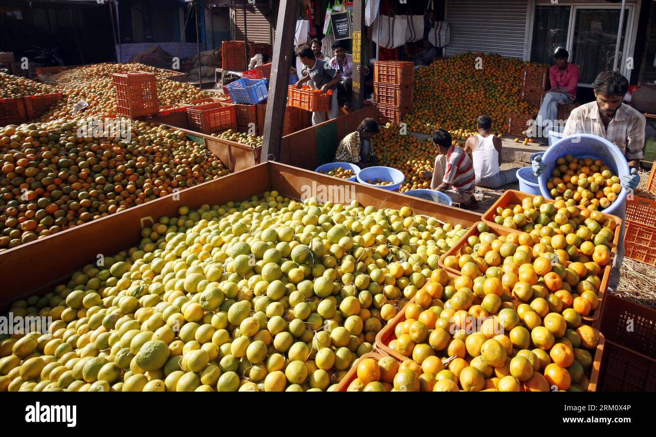 Bildnummer: 59477596 Datum: 05.04.2013 Copyright: imago/Xinhua (130405) -- BHOPAL, 5. April 2013 (Xinhua) -- Obstverkäufer arrangieren ihre Orangen zum Verkauf auf einem Großmarkt in Bhopal, Indien, 5. April 2013. Orangen überfluteten den Markt wegen der Stoßgefahr in dieser Saison. (Xinhua/Stringer) (zf) INDIA-BHOPAL-ORANGE-HARVEST PUBLICATIONxNOTxINxCHN Gesellschaft xas x2x 2013 quer premiumd o0 Wirtschaft Markt Früchte Obst Verkauf 59477596 Datum 05 04 2013 Copyright Imago XINHUA Bhopal 5. April 2013 XINHUA Fruit Sellers arrangieren ihre Orangen zum Verkauf AUF einem Großmarkt in BHO Stockfoto