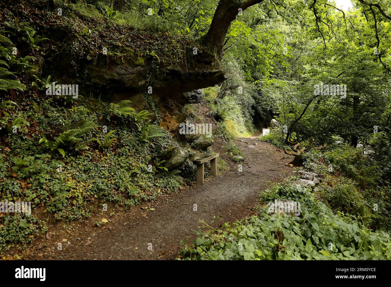 Exmoor Nationalpark Stockfoto