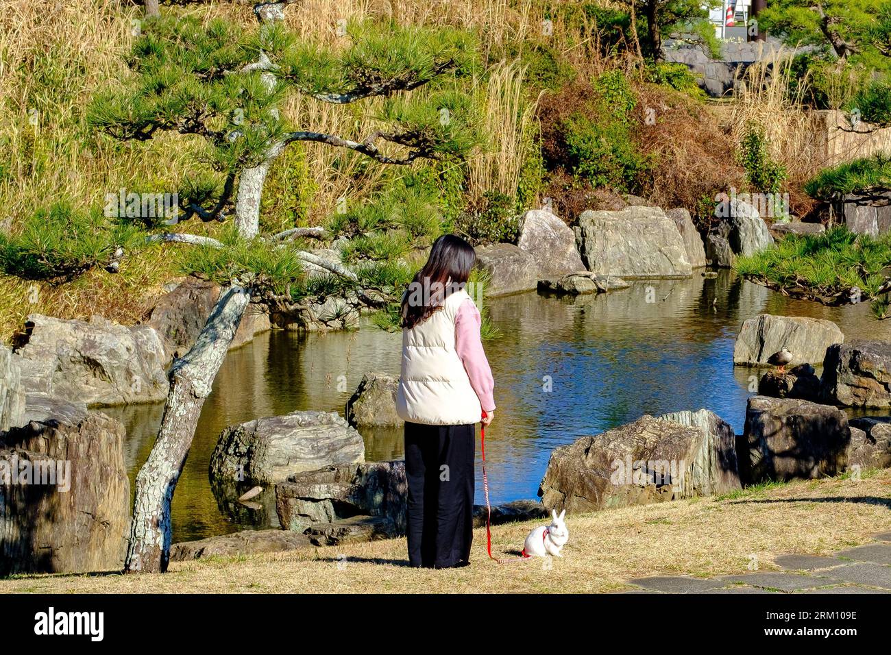 Eine Frau, die im Kasai Rinkai Park, in der Nähe eines ruhigen Teichs, ein weißes Kaninchen auf einer roten Blei läuft Stockfoto