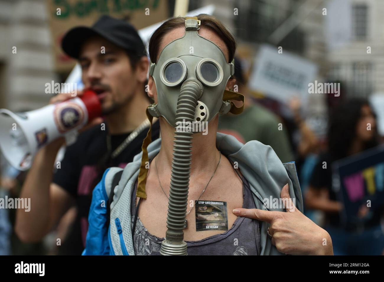 London, England, Großbritannien. 26. August 2023. Demonstrant mit Gasmaske nimmt an der Demonstration Teil. Tierschutzgruppen aus dem ganzen Land marschierten vom Marble Arch zum Parliament Square, um den Tierschutz zu fördern. (Bild: © Thomas Krych/ZUMA Press Wire) NUR REDAKTIONELLE VERWENDUNG! Nicht für kommerzielle ZWECKE! Quelle: ZUMA Press, Inc./Alamy Live News Stockfoto