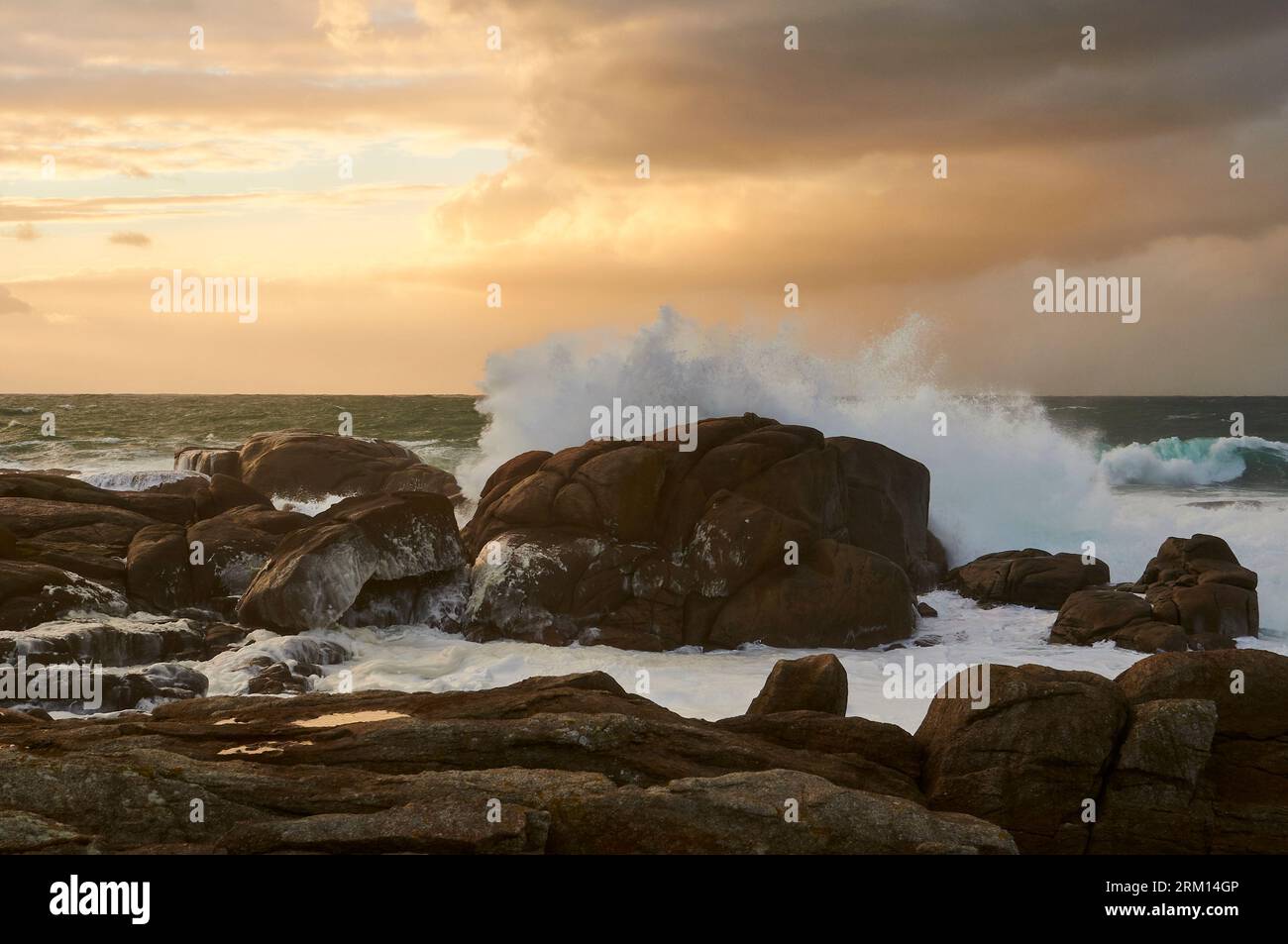 Brechende Welle trifft auf die felsige Küste der Costa da Morte mit rauem Meer bei Sonnenuntergang (Muxía, Fisterra, A Coruña, Galicien, Atlantik, Spanien) Stockfoto