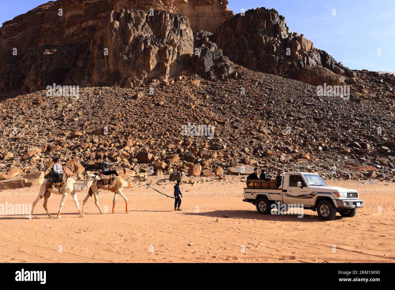 Kamele neben Lawrence's Spring, Wadi Rum, Jordanien, Naher Osten Stockfoto