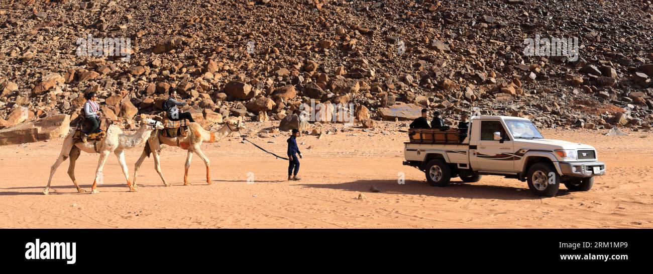 Kamele neben Lawrence's Spring, Wadi Rum, Jordanien, Naher Osten Stockfoto