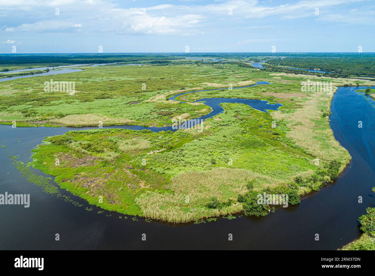 Sanford Florida, Cameron Wight Park, Lake Jesup, Luftaufnahme von oben, St. Johns Flussbecken, Natur Natur Landschaft Wasser Stockfoto