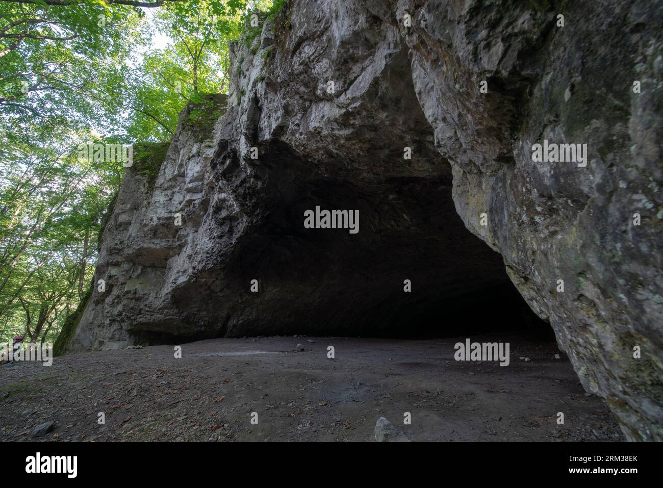 Großes Portal der Kalksteinhöhle „Pekárna“ im Mährischen Karst, eine polykulturelle archäologische Stätte, die besonders für paläolithische Besiedlung und Kunst bekannt ist Stockfoto