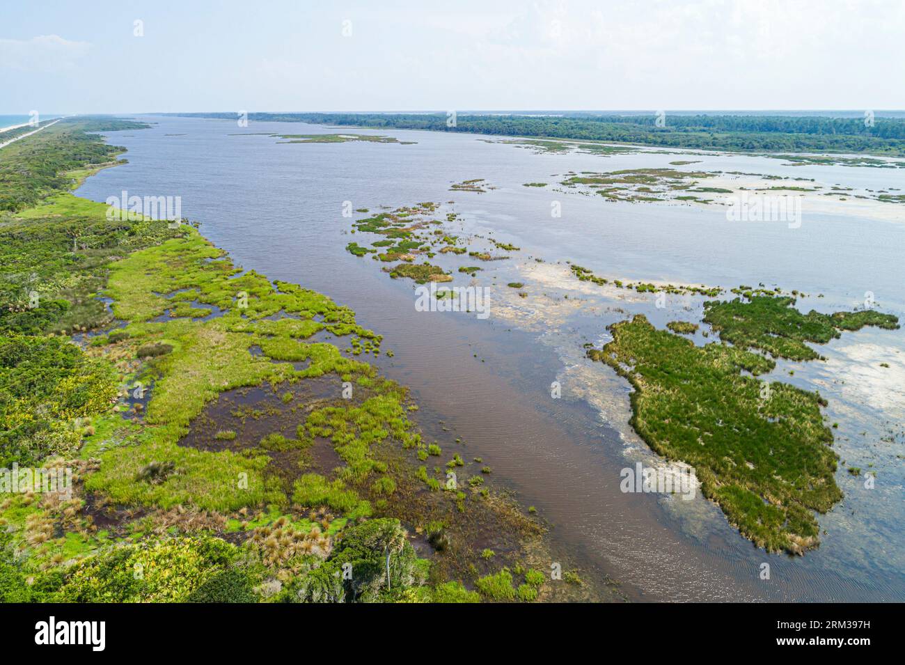 Ponte Vedra Beach Florida, Guana River Wildlife Management Area, Luftaufnahme von oben, Salzwiesen, maritime Hängematten, Kiefernwälder, Naturnatu Stockfoto
