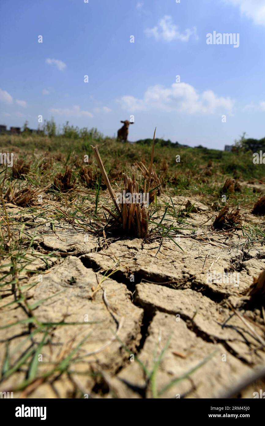 Bildnummer: 60379093 Datum: 21.08.2013 Copyright: imago/Xinhua (130821) -- DUCHANG, 21. August 2013 (Xinhua) -- Foto aufgenommen am 21. August 2013 zeigt die ausgetrockneten Reisfelder im Dorf Laowu im Kreis Duchang in der ostchinesischen Provinz Jiangxi. Anhaltend heißes, trockenes Wetter hat zu einer anhaltenden Dürre in der Provinz geführt. (Xinhua/Fu Jianbin) (ry) CHINA-JIANGXI-DÜRRE (CN) PUBLICATIONxNOTxINxCHN xcb x0x 2013 hoch 60379093 Datum 21 08 2013 Copyright Imago XINHUA DUCHANG 21. August 2013 XINHUA Foto aufgenommen AM 21. August 2013 zeigt die getrockneten Reisfelder IM Dorf DUCHANG County East China S Jiangxi PR Stockfoto