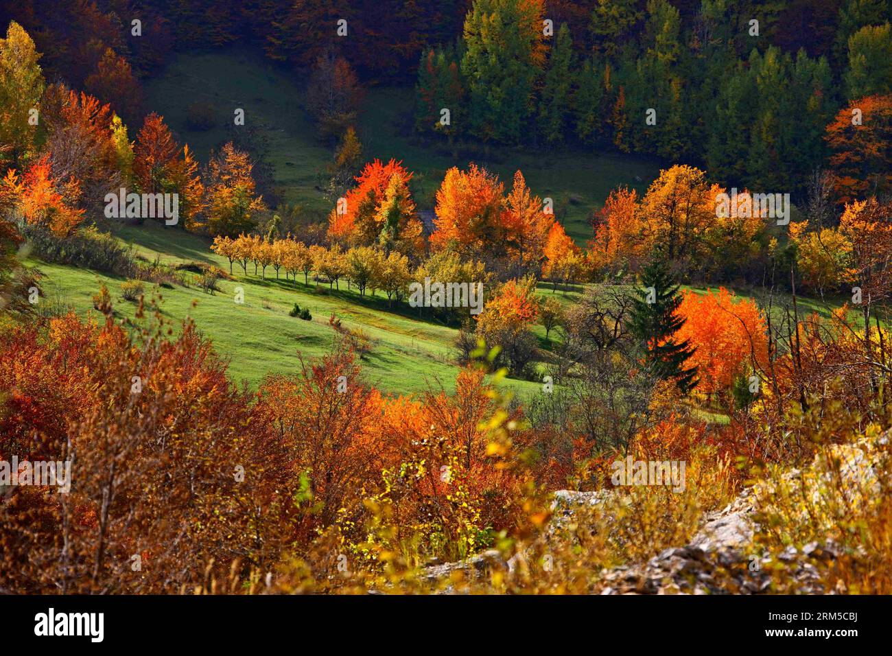 Bildnummer: 60622355 Datum: 15.10.2013 Copyright: imago/Xinhua Foto aufgenommen am 15. Oktober 2013 zeigt die Landschaft im Herbst in Montenegro. Montenegro liegt im südwestlichen Teil der Balkanhalbinsel und hat eine Fläche von etwa 13.812 km2, von denen ein großer Teil Wälder sind. Im Herbst nehmen die normalerweise grünen Blätter vieler Laubbäume hier verschiedene Rot-, Gelb- und Brauntöne an, was eine ausgezeichnete Ölmalerei der wunderbaren Natur darstellt. (Xinhua/Gong Bing) MONTENEGRO-HERBSTLANDSCHAFT PUBLICATIONxNOTxINxCHN Gesellschaft x2x xkg 2013 quer o0 totale Landschaft Herbst 60 Stockfoto