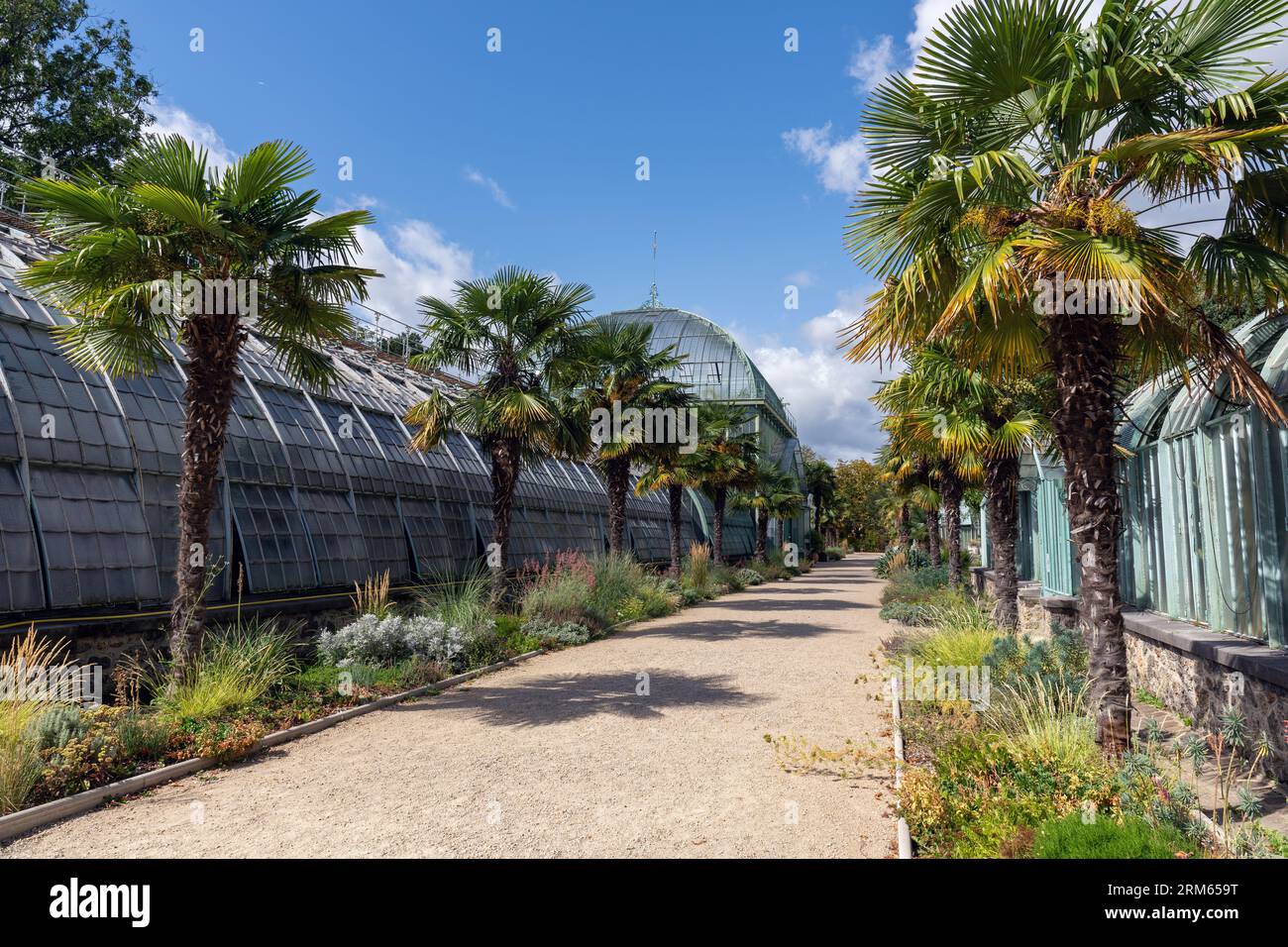 Alte Gewächshäuser im Jardin des Serres d'Auteuil im Sommer. Dieser botanische Garten ist ein öffentlicher Park in Paris, Frankreich Stockfoto