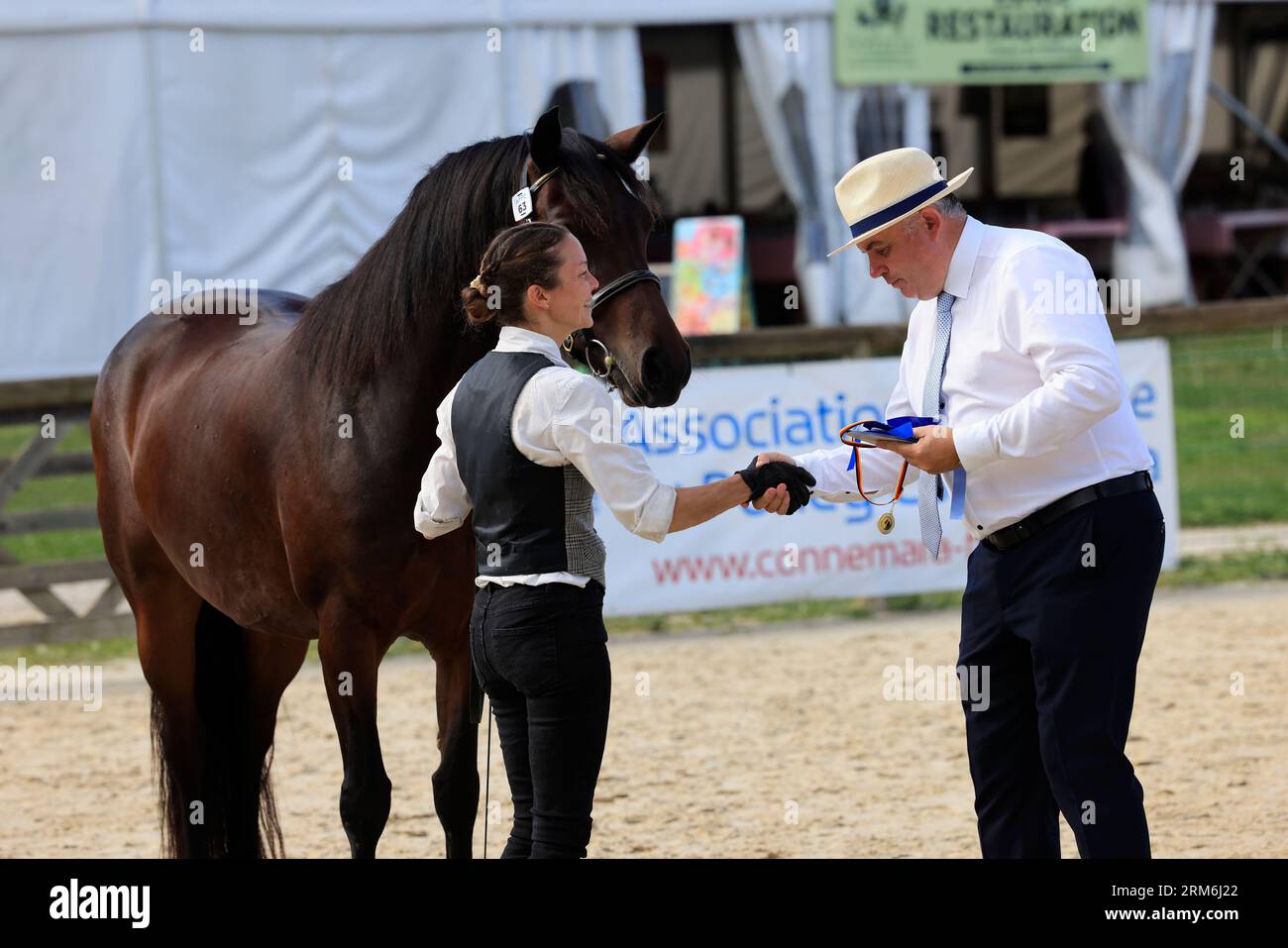 Championnat de France des Poneys Connemara organisé sur les carrières du Puy-Marmont (stade équestre) à Pompadour. Verband Francaise du Poney Conn Stockfoto