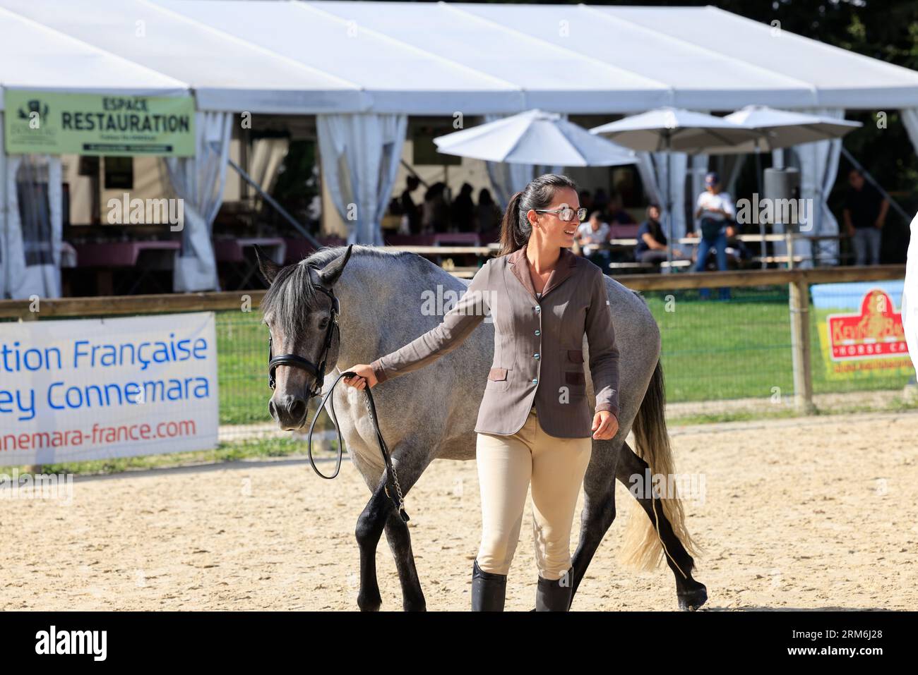 Championnat de France des Poneys Connemara organisé sur les carrières du Puy-Marmont (stade équestre) à Pompadour. Verband Francaise du Poney Conn Stockfoto