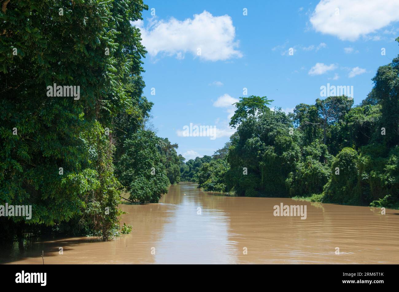Fluss neben dem Hauptquartier des Nationalparks, Niah Caves, Sarawak, Malaysia Stockfoto