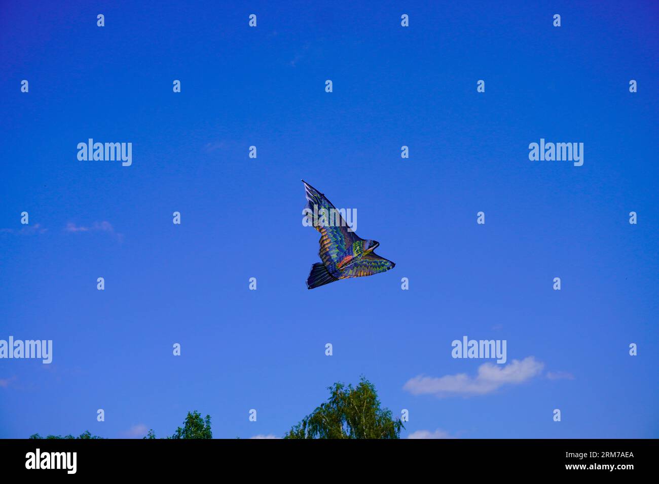 Ein Drache fliegt am blauen Himmel Stockfoto