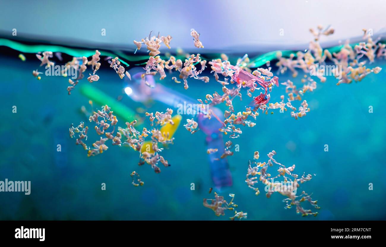 Mikroplastikpartikel schwimmen im Ozean, Wasserverschmutzung. Stockfoto