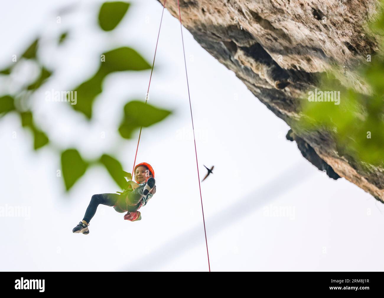 (230827) -- GUILIN, 27. August 2023 (Xinhua) -- Ein Schüler von Liu Yongbang trainiert am 5. Mai 2023 auf einer Felskletterwand im Yangshuo County, Stadt Guilin, südchinesische autonome Region Guangxi Zhuang. Yangshuo in der südchinesischen autonomen Region Guangxi Zhuang ist das beliebteste Kletterziel in China, berühmt für seine dramatische Karstgebirgslandschaft und Outdoor-Erholung. Liu Yongbang und Xiao Ting sind ein Paar, besser bekannt als Abond und Ting. Sie sind die Elite-Kletterer, die die Kinder hier coachen. Seit mehr als 15 Jahren engagiert sich das Paar für diesen Sport Stockfoto