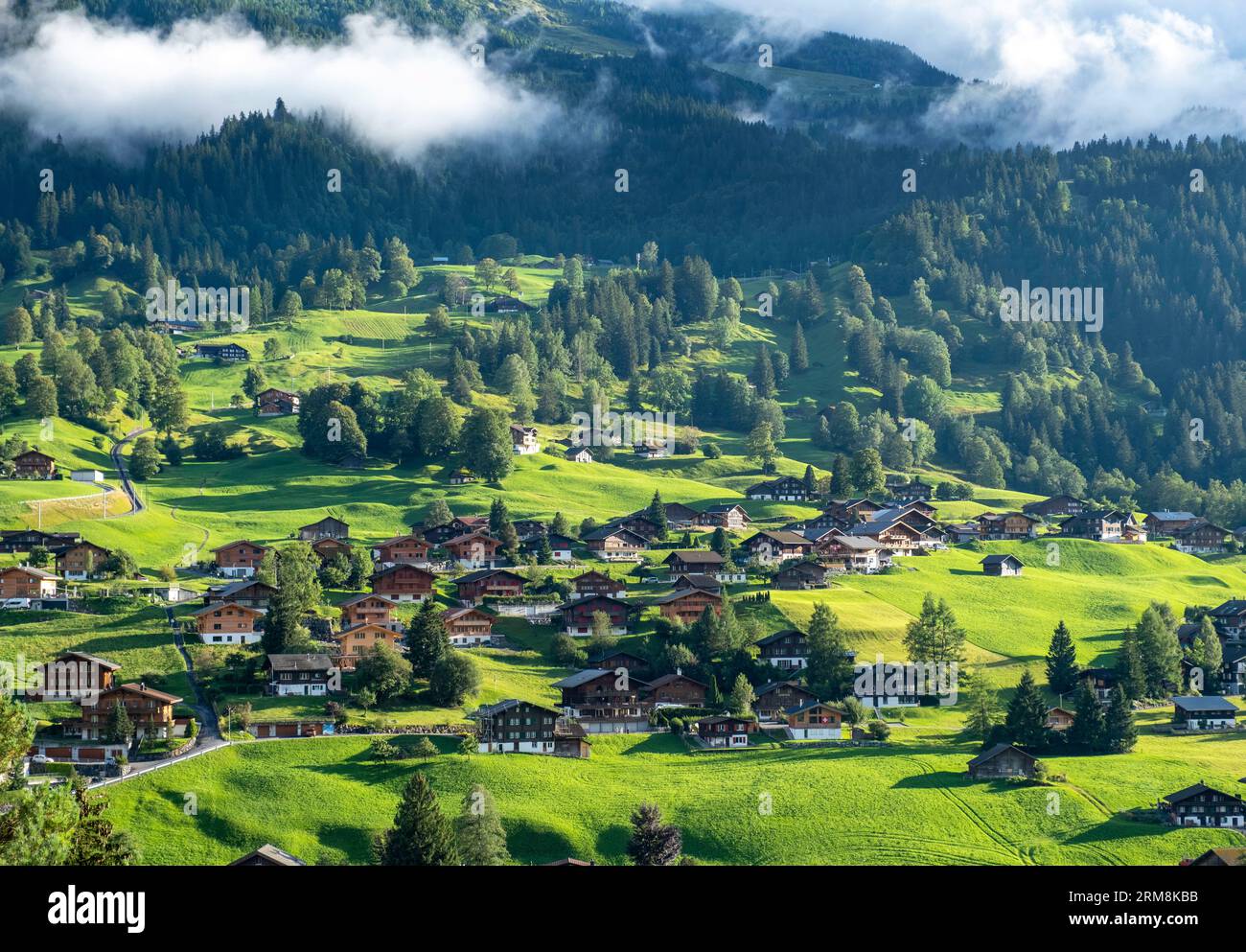 Grindelwaldtal, Kanton Bern, Schweiz. Stockfoto