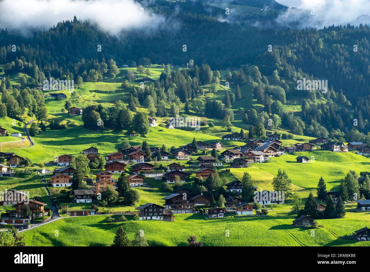 Grindelwaldtal, Kanton Bern, Schweiz. Stockfoto