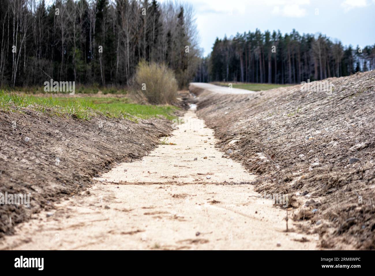 Die Landstraße im Wald zeigt die perspektivische Ansicht Stockfoto