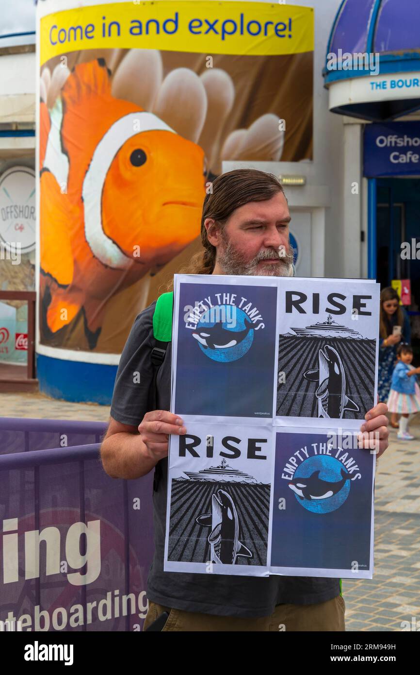 Bournemouth, Dorset, Großbritannien. 27. August 2023. Gedenkproteste vor dem Bournemouth Oceanarium, um an Orca Tokitae, alias Lolita, zu erinnern, die 53 Jahre lang in Gefangenschaft gehalten wurden und am 18. August im Alter von 57 Jahren im Miami Seaquarium verstarben. Es gab Pläne, sie in eine natürliche Meeresbucht im pazifischen Nordwesten zu verlegen, nachdem Tierschützer dafür kämpften, sie aus ihrem Tank befreien zu lassen. In den USA werden seitdem Wachwachen zu Ehren der Wale und Proteste gegen Tiermissbrauch abgehalten. Das Bournemouth Oceanarium gehört Parques Reunidos, dem das Miami Seaquarium von 1955 bis 2014 gehörte. Quelle: Carolyn Jenkins/Alamy Live News Stockfoto