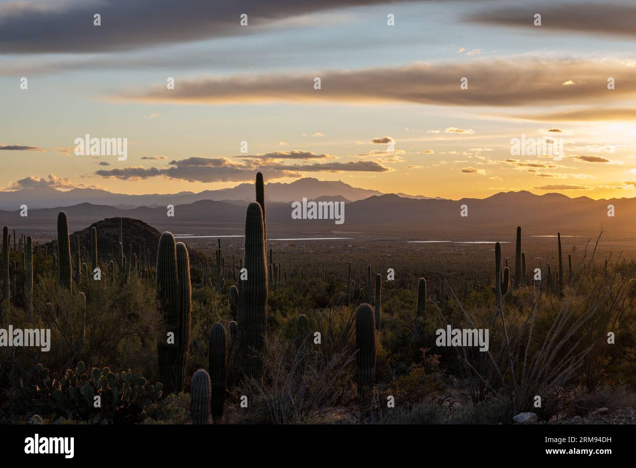 Las Guijas Mountains bei Sonnenuntergang vom Saguaro National Park Stockfoto