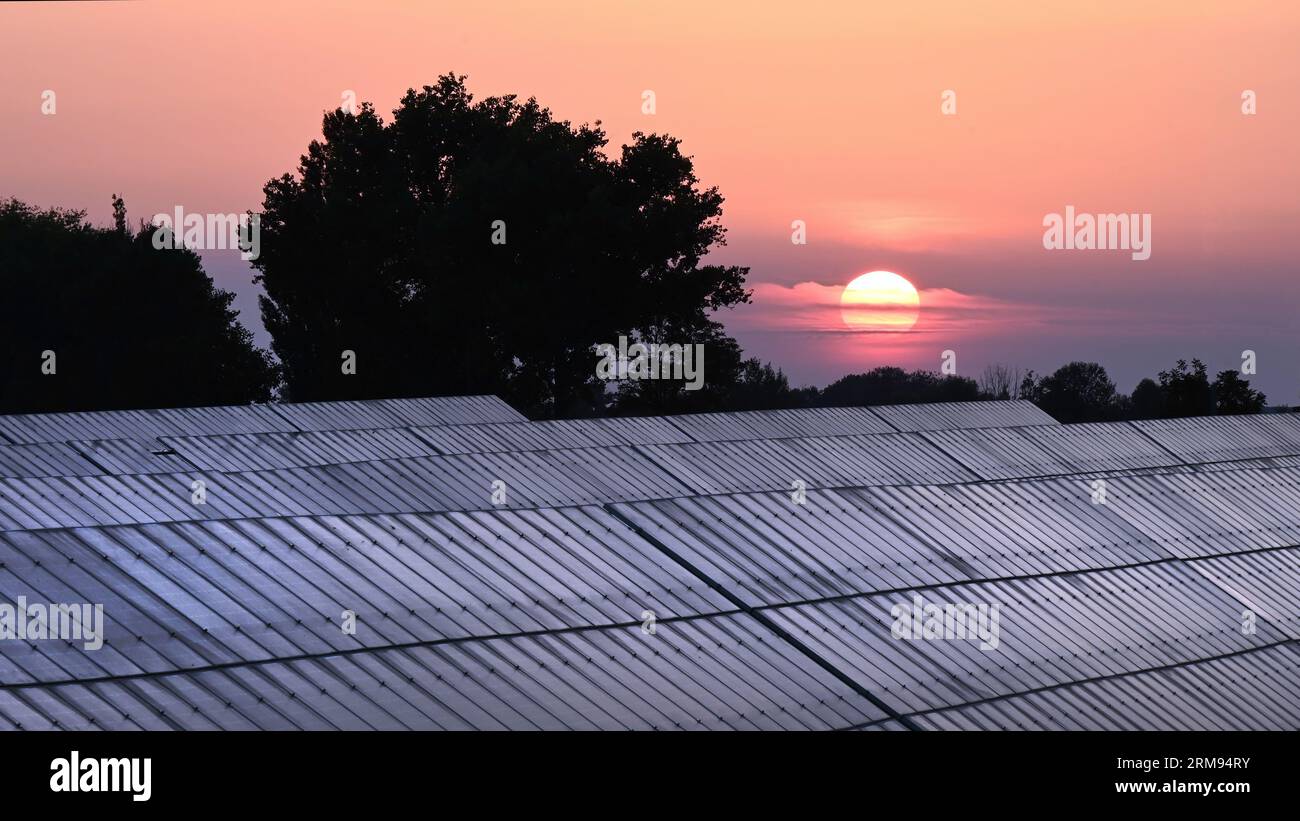 Sonnenkollektoren bei Sonnenuntergang mit leuchtendem Himmel und Silhouettenbäumen im Breitbildformat Stockfoto