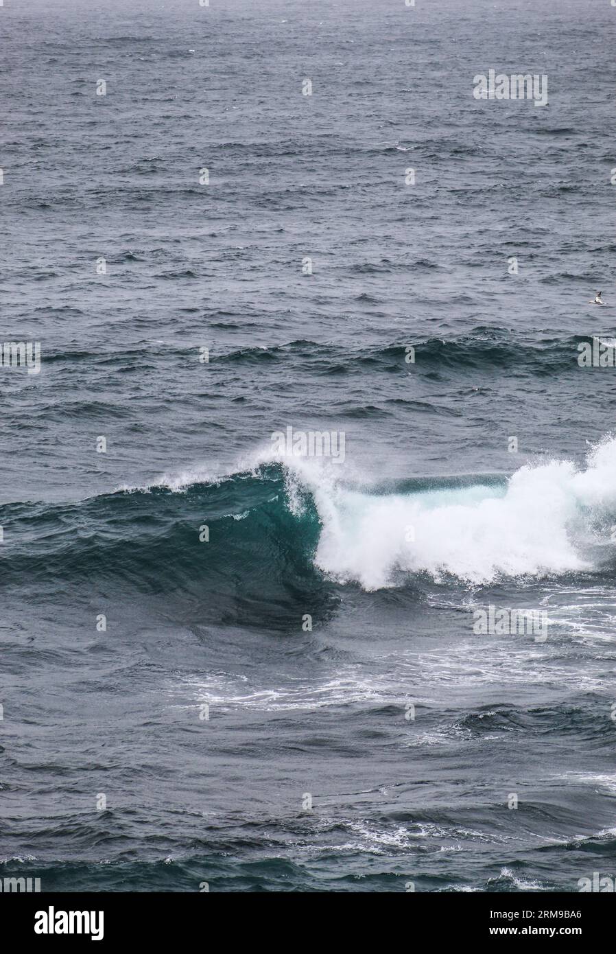 Die Kraft der Wellen an der Nordküste von Cornwall, Großbritannien Stockfoto