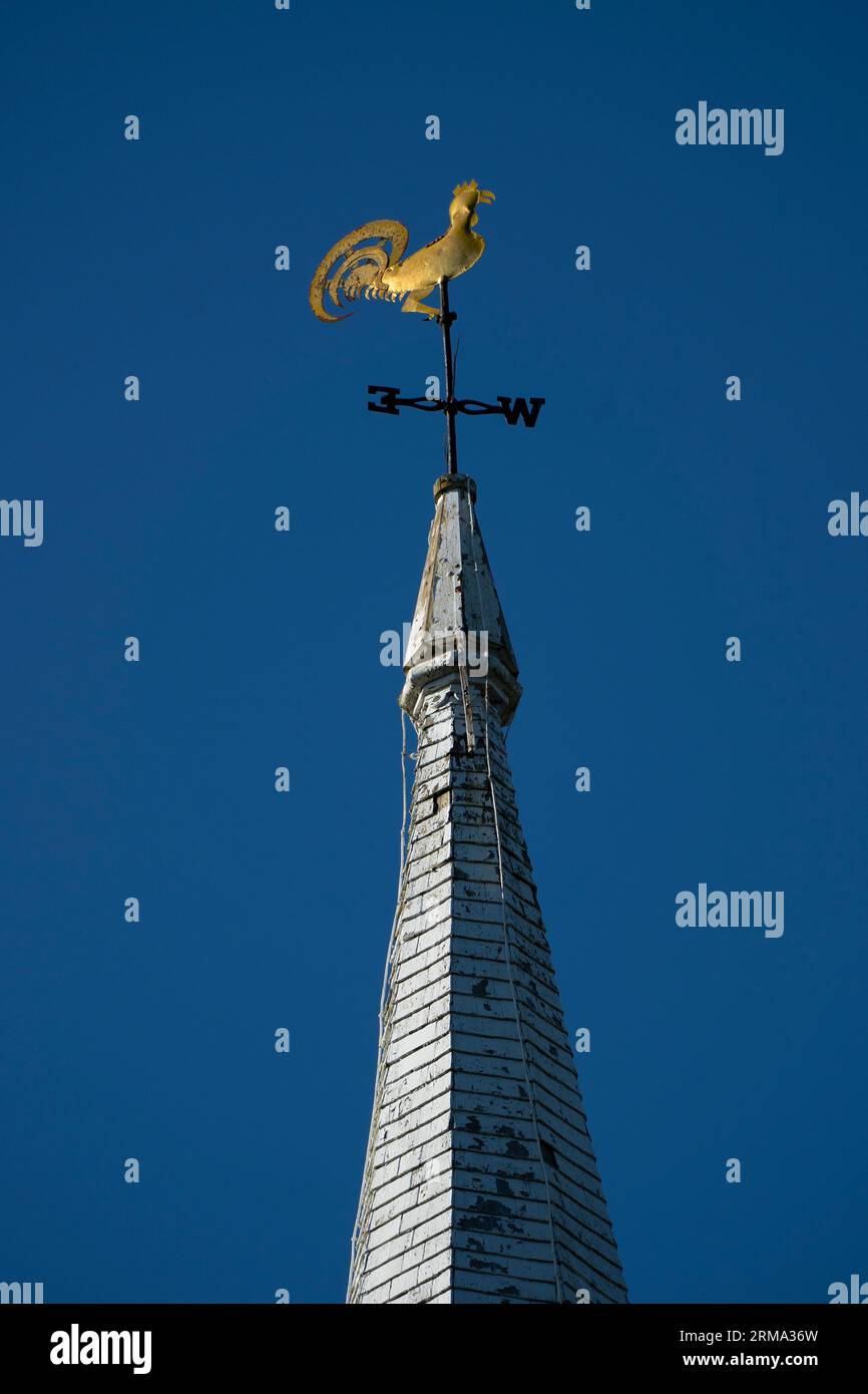 Hahn Wetterfahne oben auf der ersten Pfarrgemeinde in York Maine Stockfoto