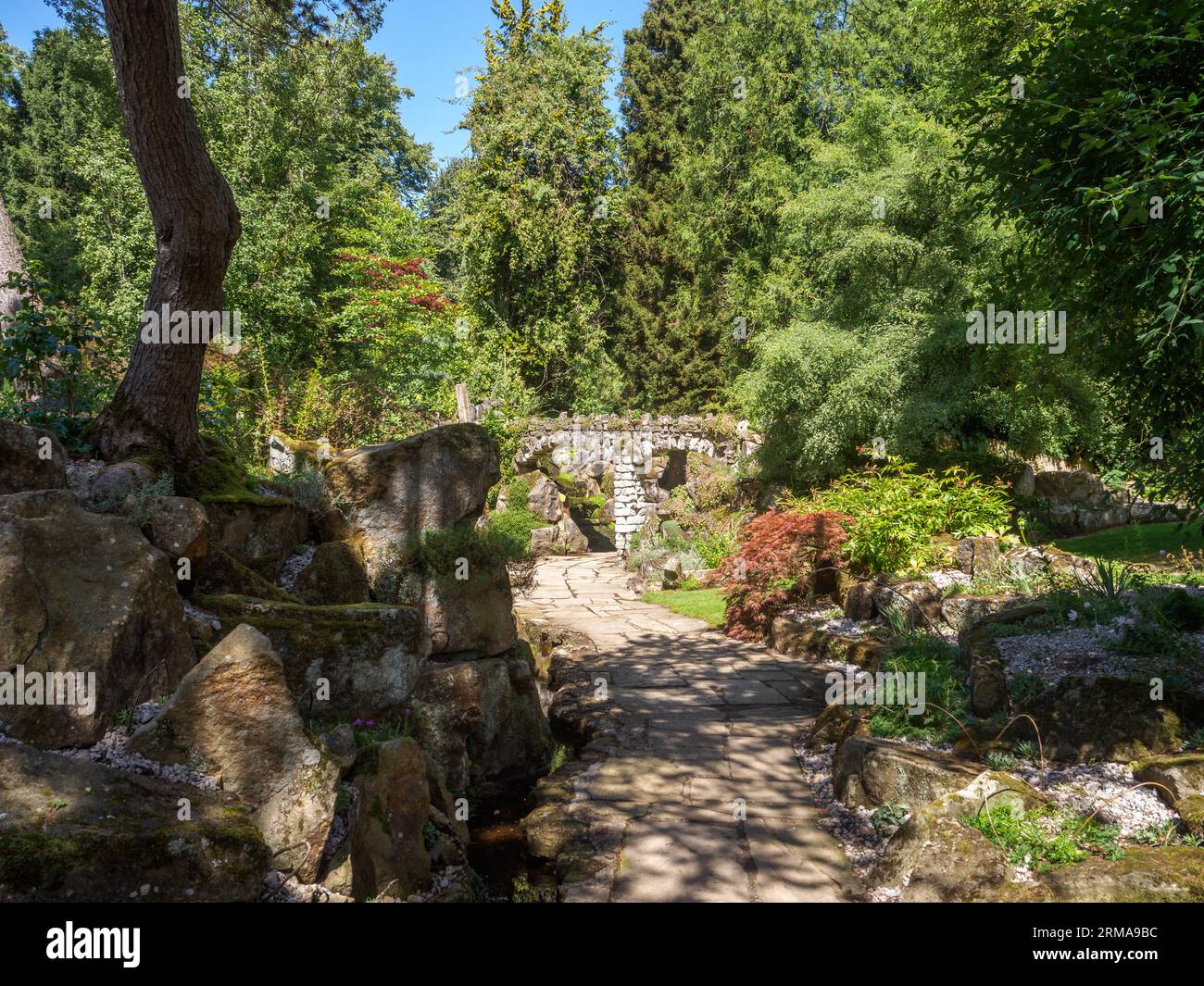 Rock garden plant Fotos und Bildmaterial in hoher Auflösung Alamy