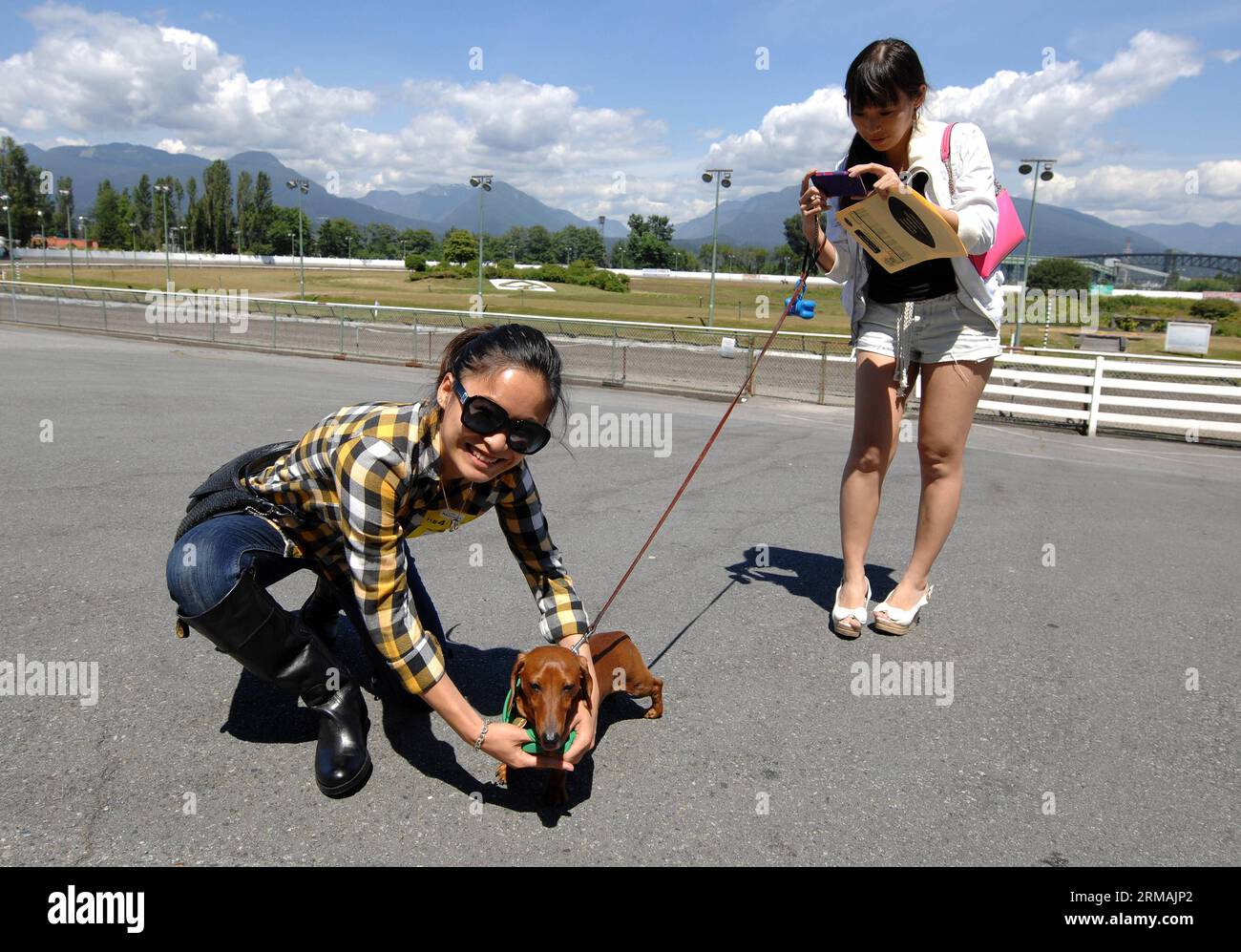 (140714) -- VANCOUVER, 13. Juli 2014 (Xinhua) -- Emma (L) posiert mit Frankie vor dem Beginn des jährlichen Wiener Dog Racing auf dem Hastings Race Course in Vancouver, Kanada, 13. Juli 2014. Mehr als 70 Dackel liefen bis zur Ziellinie. (Xinhua/Sergei Bachlakov) KANADA-VANCOUVER-DOG RACING PUBLICATIONxNOTxINxCHN Vancouver 13. Juli 2014 XINHUA Emma l posiert mit Frankie vor dem Start des jährlichen Wiener Dog Racing AUF DEM Hastings Race Course in Vancouver Kanada 13. Juli 2014 LIEFEN mehr als 70 Dackel zur Ziellinie XINHUA Sergei Bachlakov Canada Vancouver Dog Racing Stockfoto