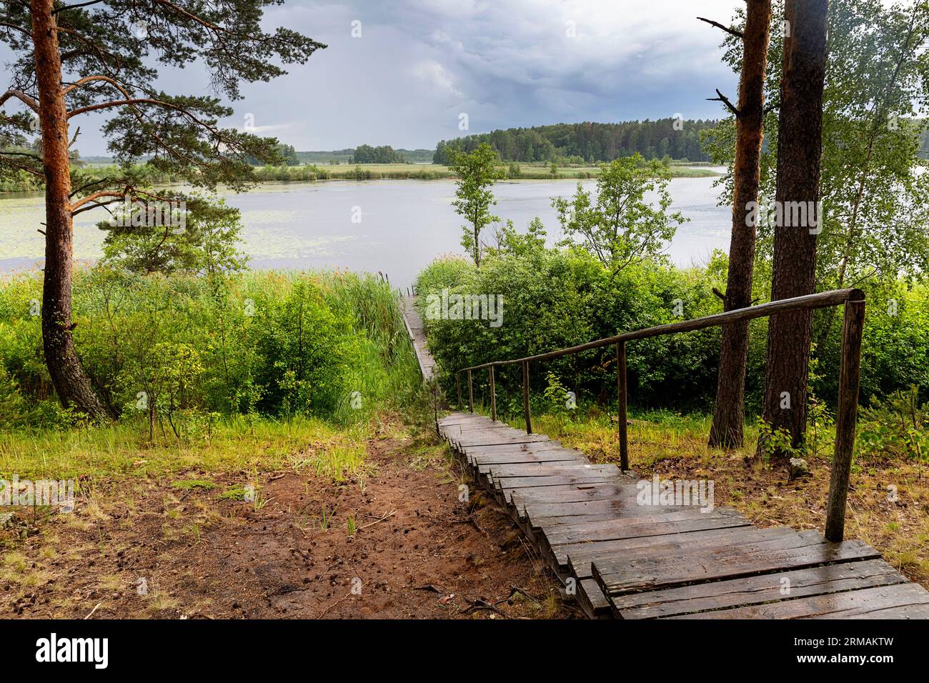 Malerische Holztreppen, die vom Campingplatz zum wunderschönen Joemoisa-See führen, kurz nach dem schweren Sommersturm Mustavee, Estland Stockfoto