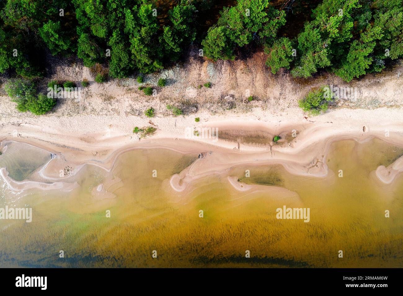 Luftaufnahme eines wunderschönen sandigen Kauksi-Strandes am Peipus-See in Estland, Stockfoto