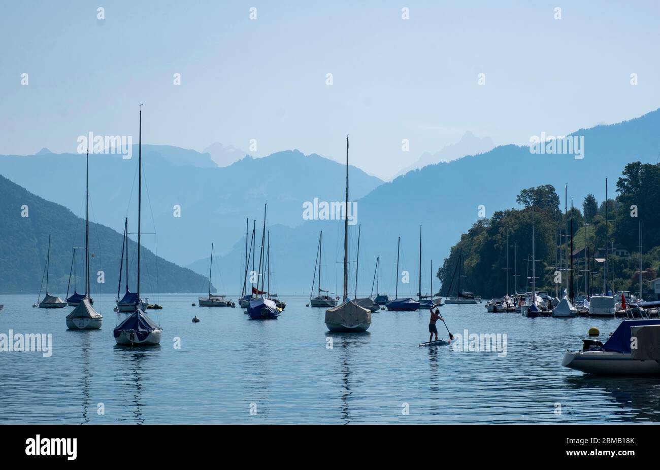 Spiez am Ufer des Thunersees, Kanton Bern, Schweiz. Stockfoto