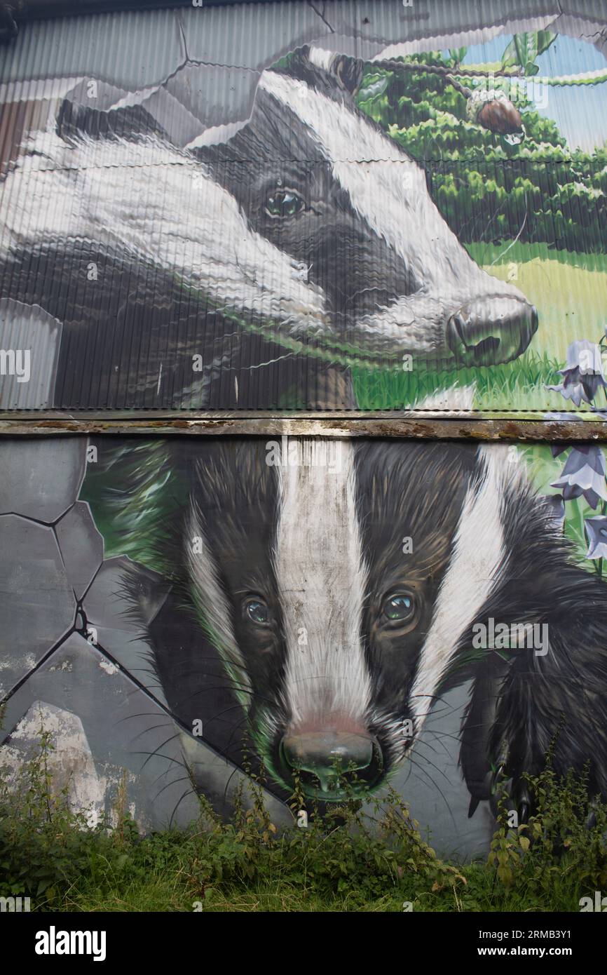 Badger, Teil des Glasgow Residents Wildlife Mural Ingram Street Parkplatzes in Glasgow, Schottland Stockfoto
