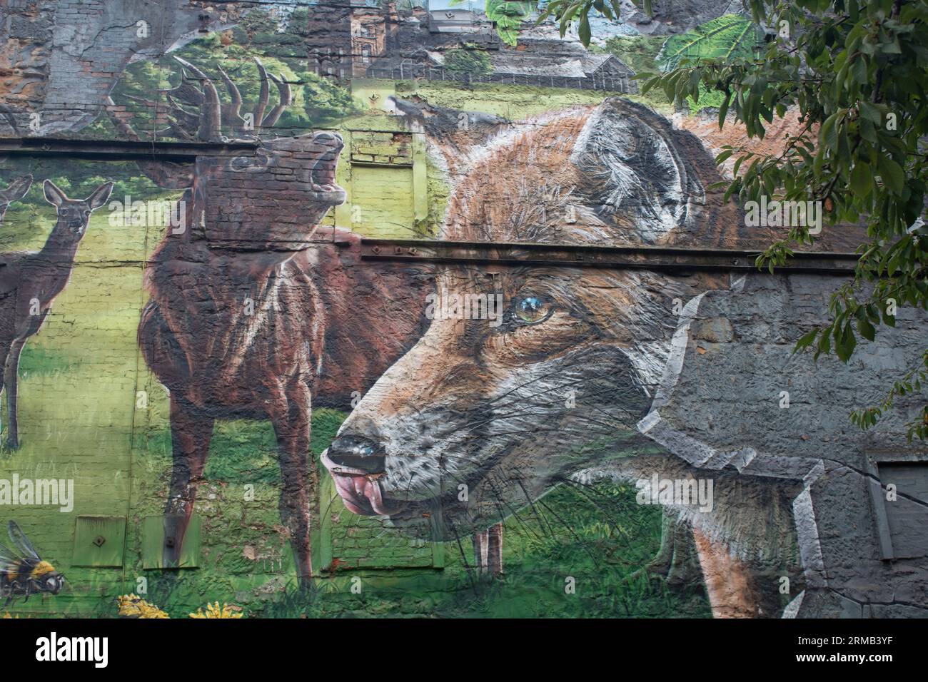 Fox and Deer, Teil des Glasgow Residents Wildlife Mural Ingram Street Parkplatzes in Glasgow, Schottland Stockfoto