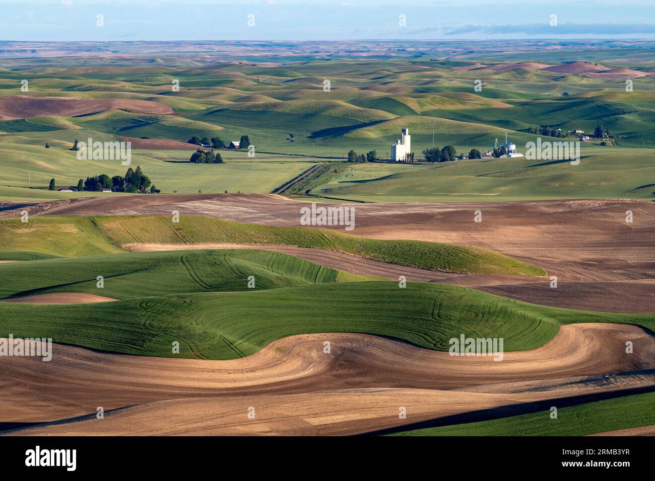 Kornelevator zwischen Weizenfeldern im Staat Washington Stockfoto