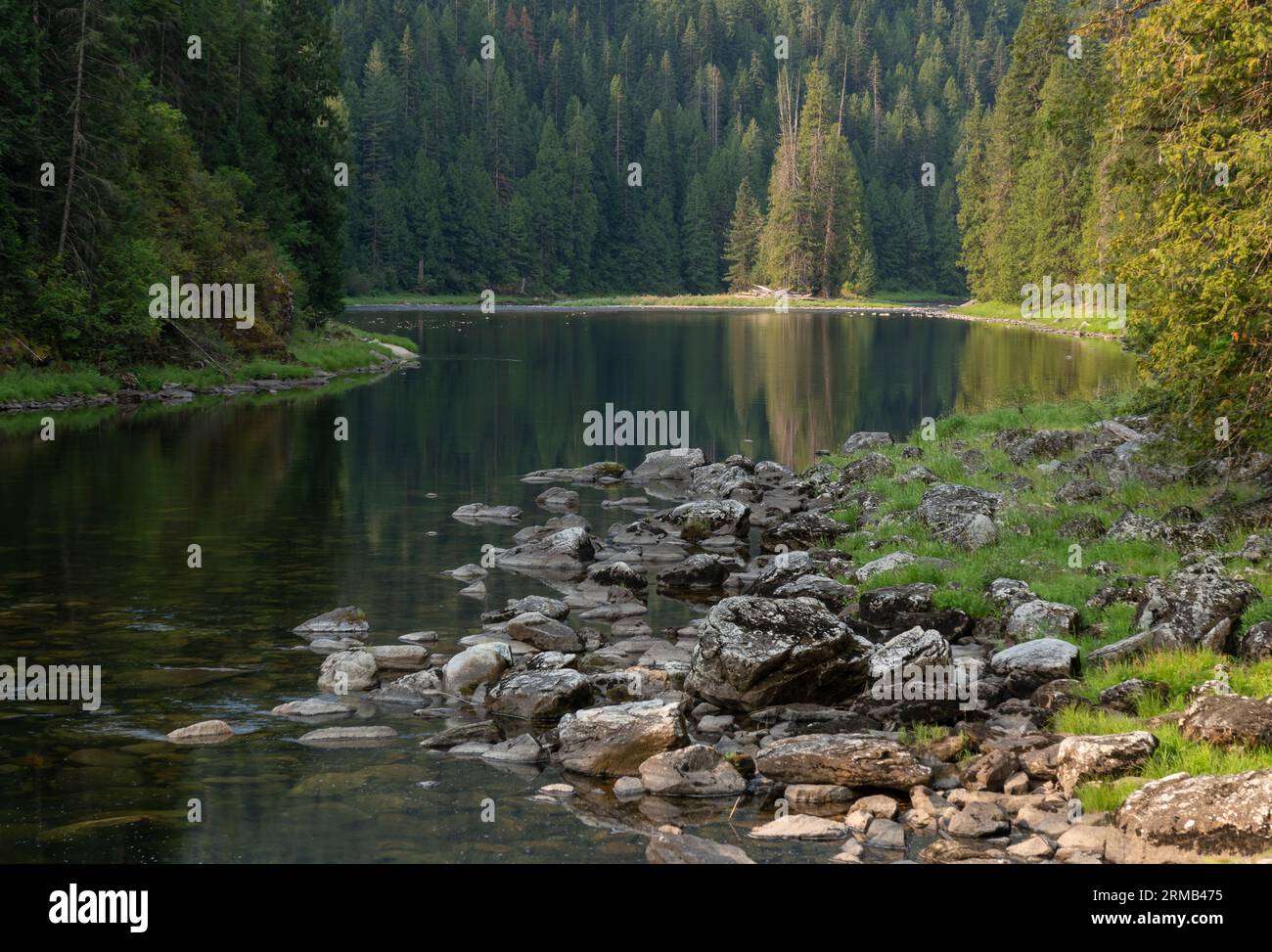 Der Lochsa River im Clearwater National Forest im Zentrum von Idaho. Stockfoto