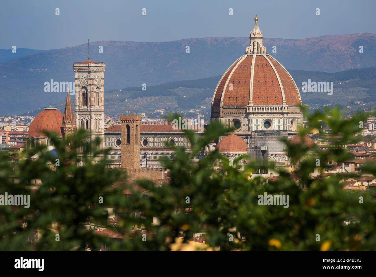 Kathedrale von Florenz, Cattedrale di Santa Maria del Fiore mit der Kuppel von Brunelleschi, Stadt auf der Rückseite, Sommer 2023 Stockfoto