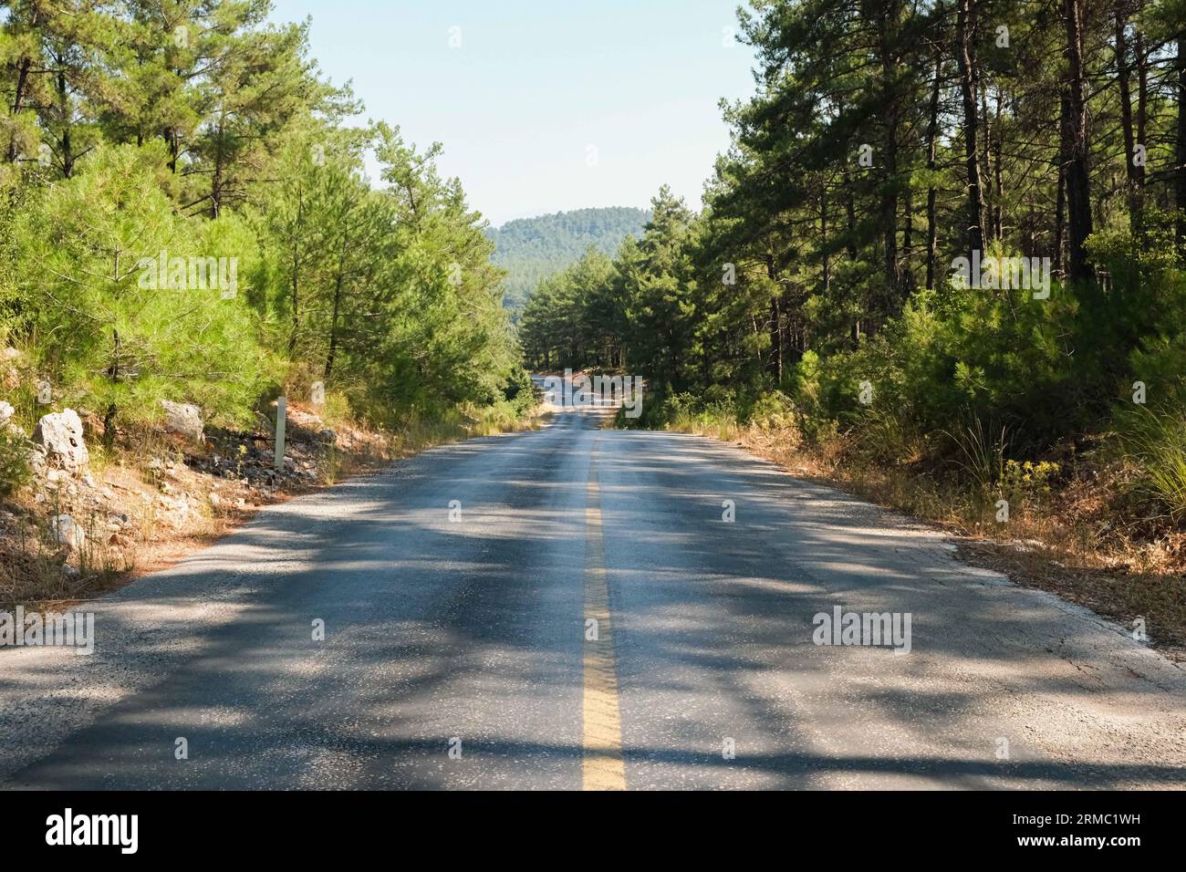 Straße im Wald vor Berg- und Himmelshintergrund mit Lichtschlägen Stockfoto