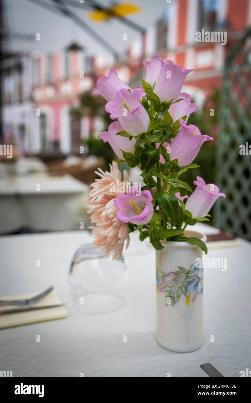 Ein Bouquet aus violetten Blauglocken und Chrysanthemen ziert einen Tisch in einem Restaurant in der Altstadt Stockfoto