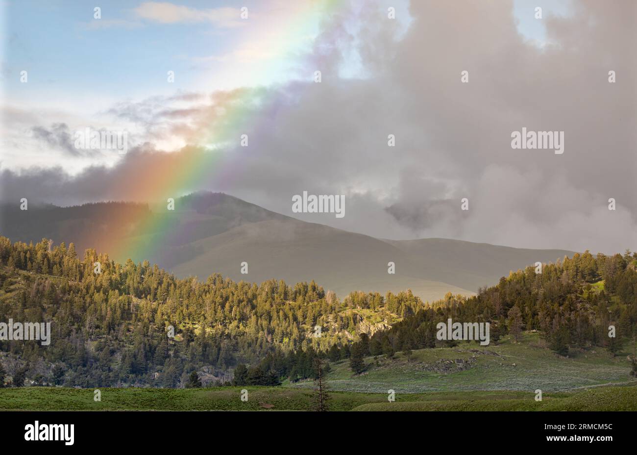 Nationalparkfotografie in Wyoming Stockfoto