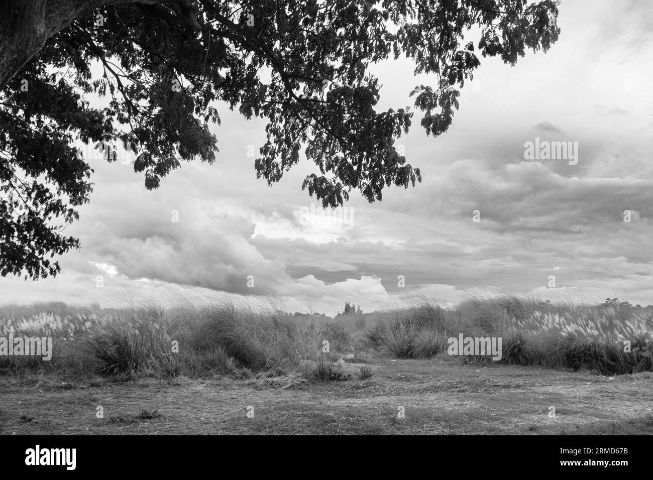 Wolkenfoto über dem Kultivierungsfeld am 12. September 2022, aus Ruhitpur, Bangladesch Stockfoto