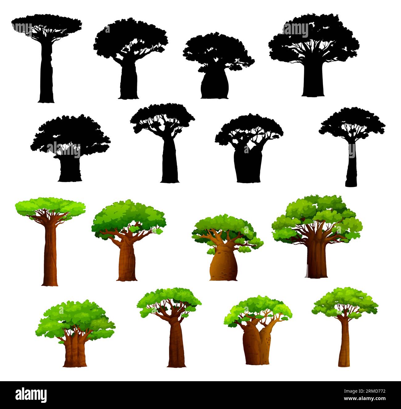 Afrikanische Baobab-Bäume und Silhouetten. afrikanische Savannenbaobabs mit breiten Stämmen und grünen Blättern. Isolierte tropische Bäume, Trockenheitsresistent Stock Vektor