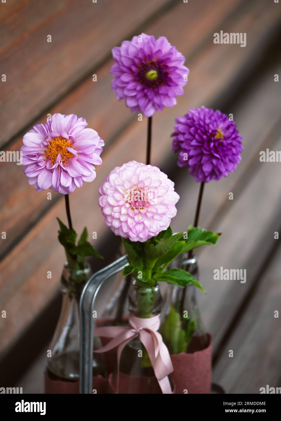 Wunderschöner Blumenstrauß aus rosa, magentafarbenen, rosafarbenen, violetten Dahlienblüten in Glasflaschen auf gartenbank. Floristik- oder Gartenkonzept. Selektiver Weichzeichner. Stockfoto