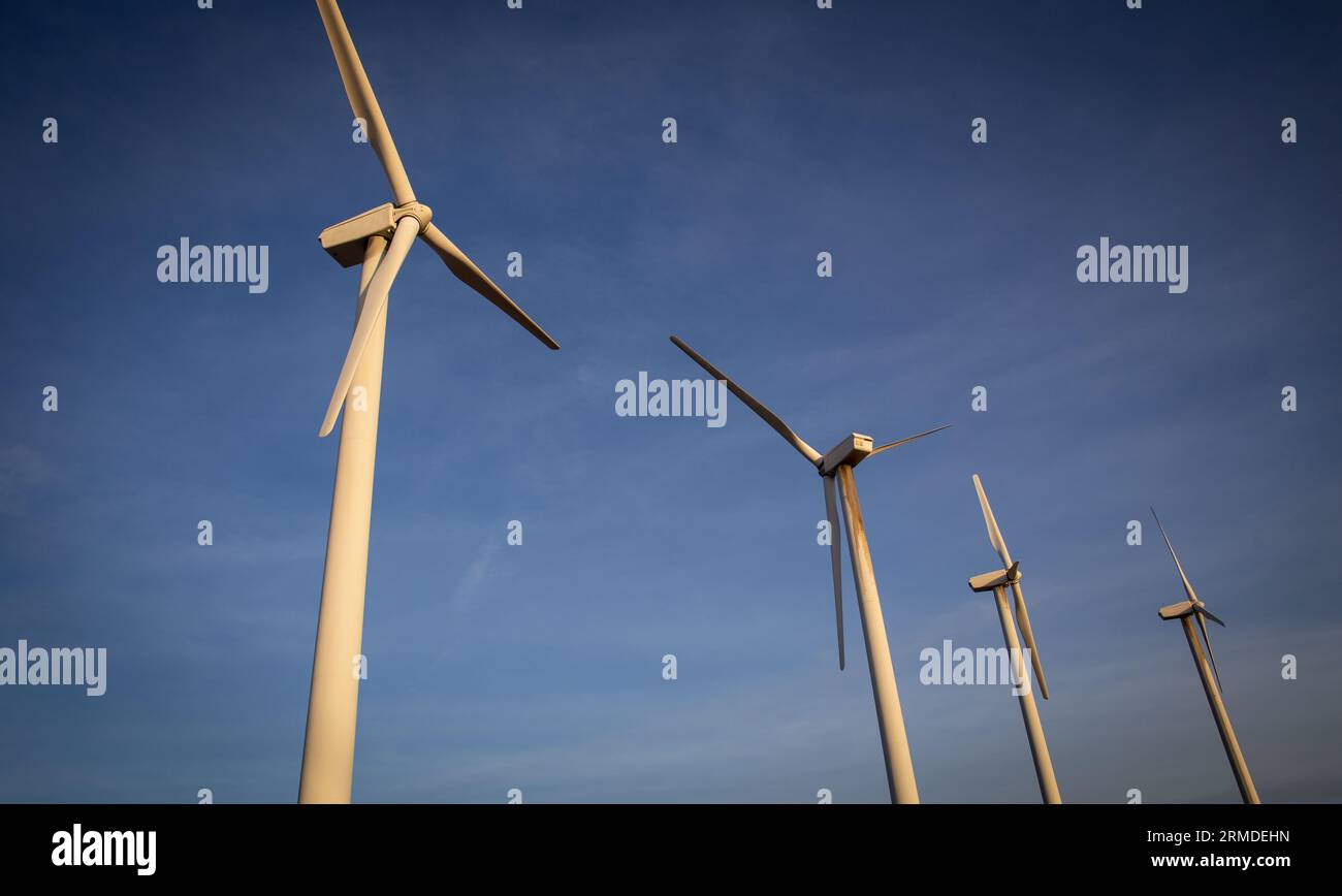 Eine Reihe von Windturbinen für erneuerbare Energien Stockfoto