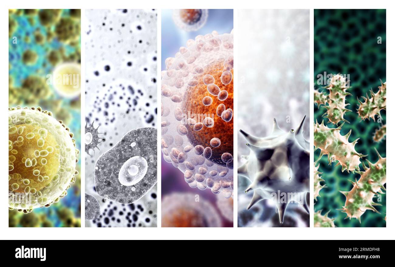 Horizontales oder vertikales Banner mit pathogenen Bakterien und Viren. Amöben unter dem Mikroskop. Schnelle Vermehrung von Bakterien. Infektion und MI Stockfoto