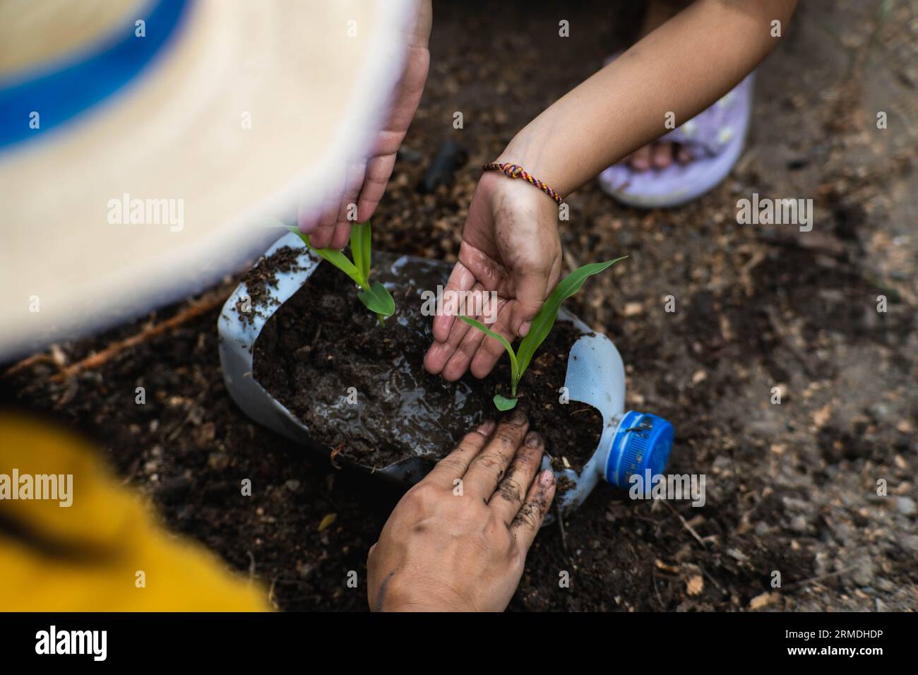 Kleine Mädchen und Mom bauen Pflanzen in Töpfen aus recycelten Wasserflaschen im Hinterhof an. Recyceln Sie Wasserflaschenbecher, Gartenaktivitäten für Kinder. Empy Stockfoto