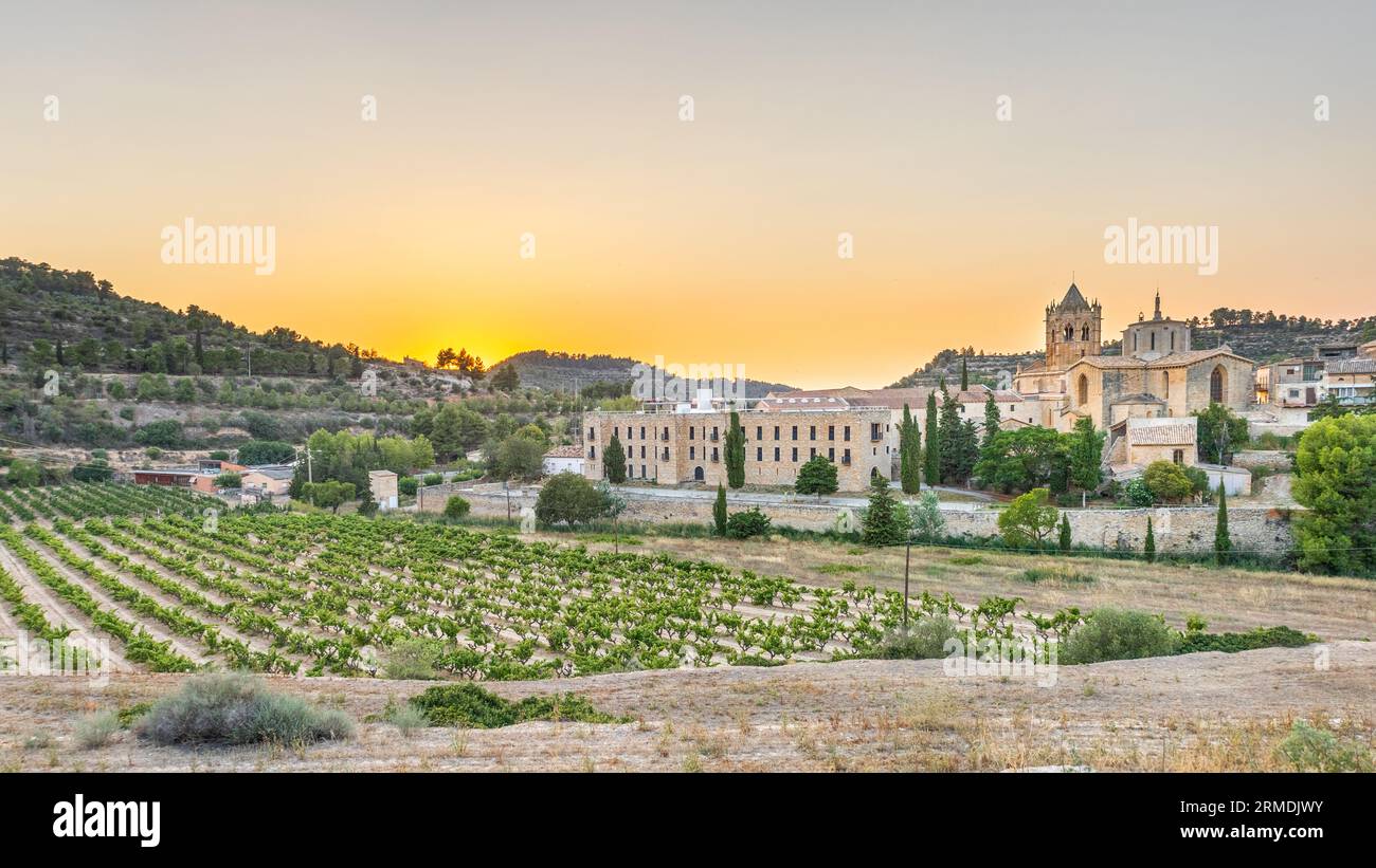 Kloster und Weinberge in Vallbona de les Monges bei Sonnenuntergang. Touristische Reise in Katalonien, Spanien. Stockfoto