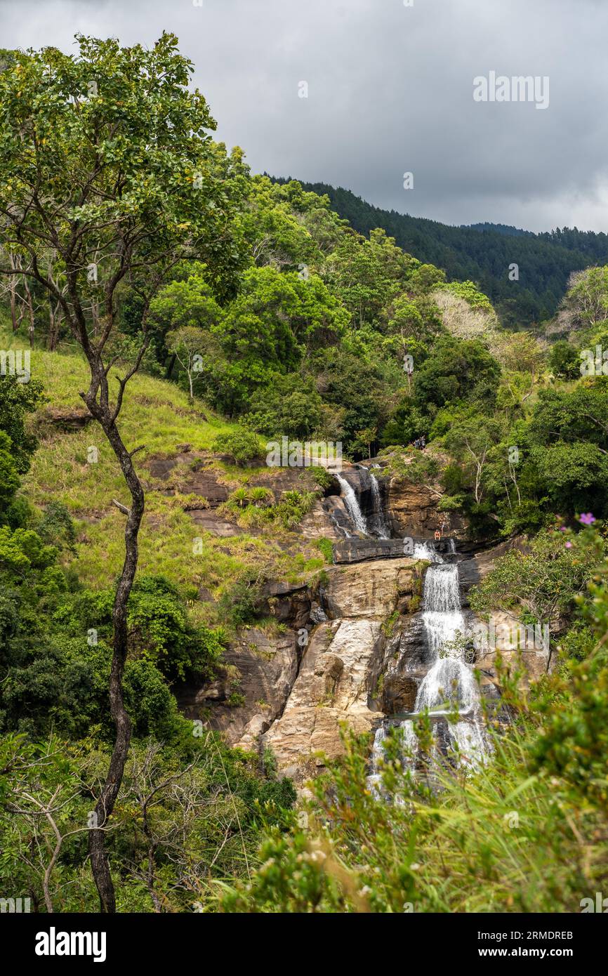 Atemberaubendes Foto von Diyaluma Falls Wasserfall im Dschungel von Ella Sri Lanka Stockfoto