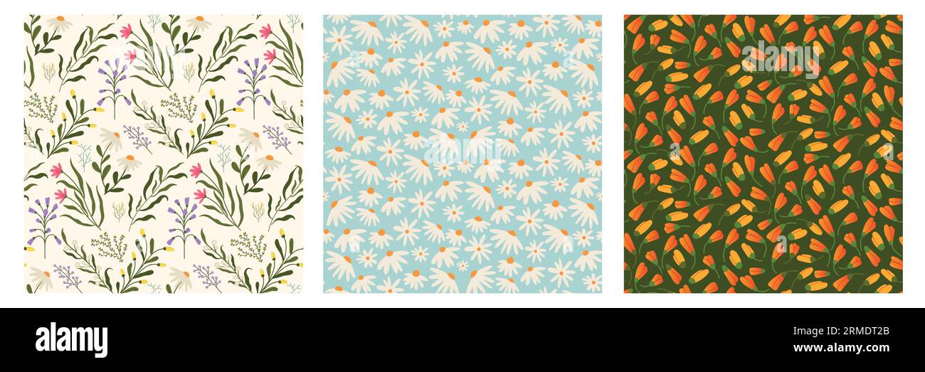 Wildblumenmuster. Nahtloser Druck von Wiesenblüten mit Blättern und Stielen, abstraktes botanisches Blumenmotiv für Stofftapete. Vektorstruktur Stock Vektor